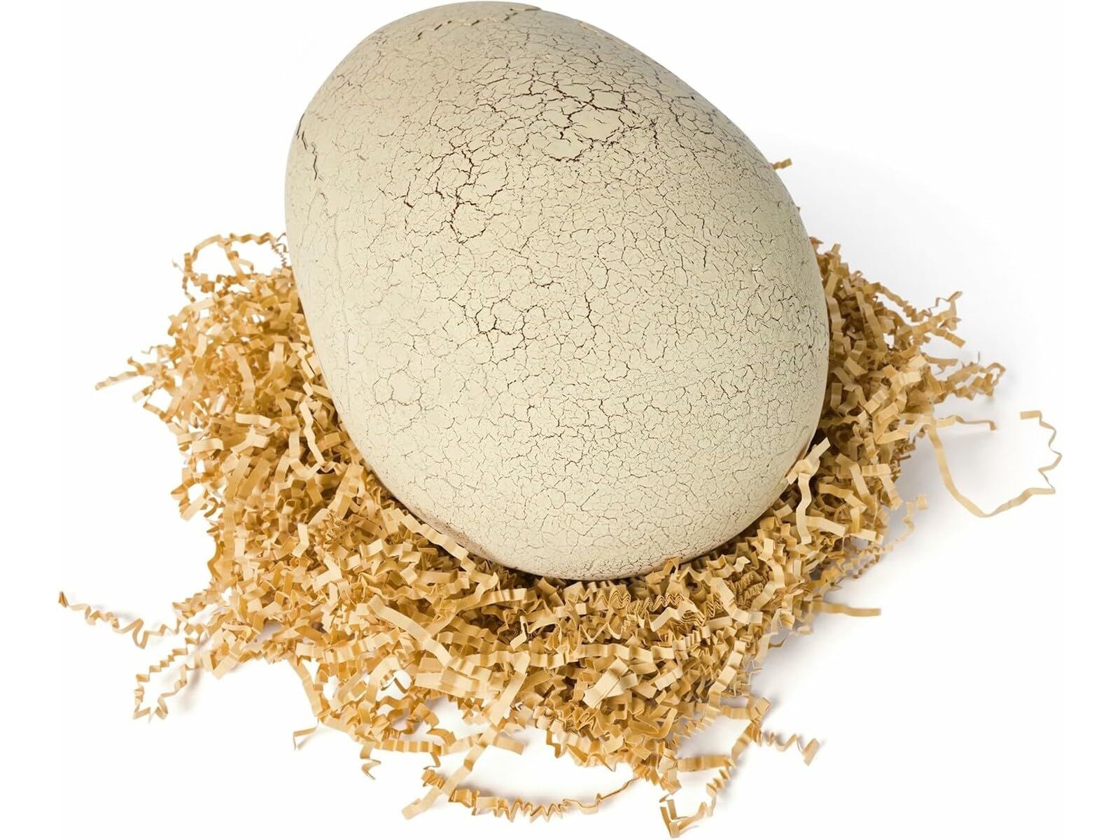 Jurassic World Interactive Toy Dinosaur & Egg, Hatch & Train Your own Baby Dino with 100+ Sounds & Reactions, Kids Toys for Boys & Girls Aged 5 & Up