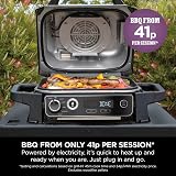 Ninja Woodfire Electric BBQ Grill & Smoker 7 in 1 Outdoor Grill Air Fryer view 6