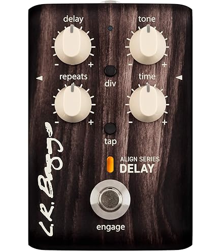 Amazon.com: L.R. Baggs Align Reverb Acoustic Guitar Effect Pedal 