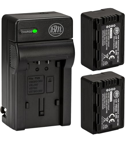 Amazon.com: BM Premium 2 VW-VBD58 Batteries and Dual Bay Charger