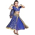 Belly Dance Costume Bollywood Dress - Halloween Chiffon Dance Outfit Costumes with Head Veil for Girls