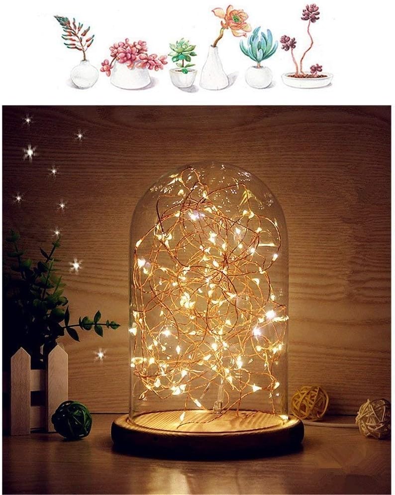 Erosom Glass Dome Lamp Bell Jar Display Dome Bamboo Base String USB LED Warm White Light Bedside Table Lamp with LED Warm Fairy Starry String Lights ideal for Decoration Anywhere.(Warm White)