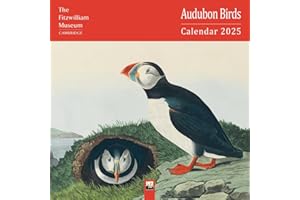 Fitzwilliam Museum: Audubon Birds Wall Calendar 2025 (Art Calendar)
