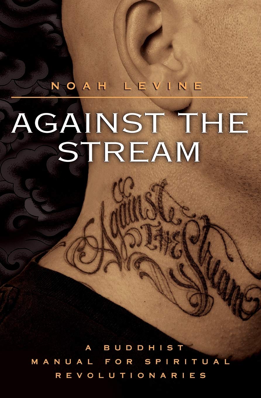 Against The Stream A Buddhist Manual For Spiritual Revolutionaries Levine Noah 9780060736644 Amazon Com Books Against The Stream A Buddhist Manual For Spiritual Revolutionaries Levine Noah 9780060736644 Amazon Com Books