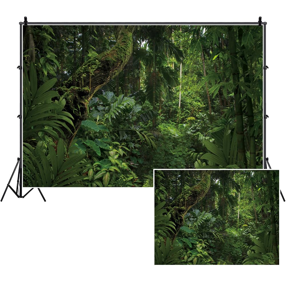 SDOTPMT 10x8ft Jungle Forest Polyester Backdrop for Outdoorsy Camping Theme Party Background Spring Mysterious Rainforest Jungle Forest Tree Natural Scenery Kids Adult Wedding Photo Studio Props