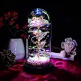 QUELIEN Valentines Day Rose Gifts for Her Women Galaxy Glass Rose in Glass Dome Valentine Gifts for Women Daughter Mom Wife Girlfriend