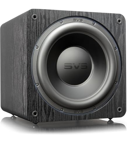 Amazon.com: SVS SoundPath Subwoofer Isolation System, 4-Pack