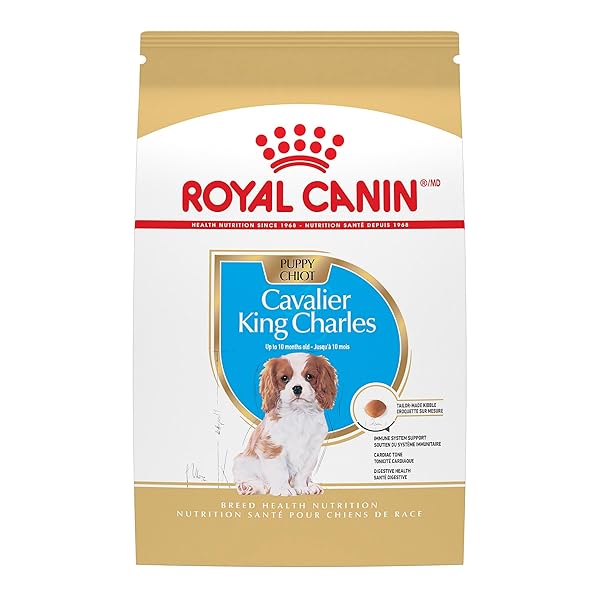 ROYAL CANIN BREED HEALTH NUTRITION CAVALIER KING CHARLES...