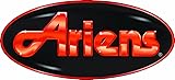 Ariens 06529600 Lawn & Garden Equipment Lock Nut