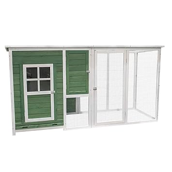 The Chicken Run 5 Tips For Giving Your Chickens Space To Run