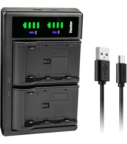 Amazon.com : Canon Battery Pack BP-975 for XF305, XF300, XF205