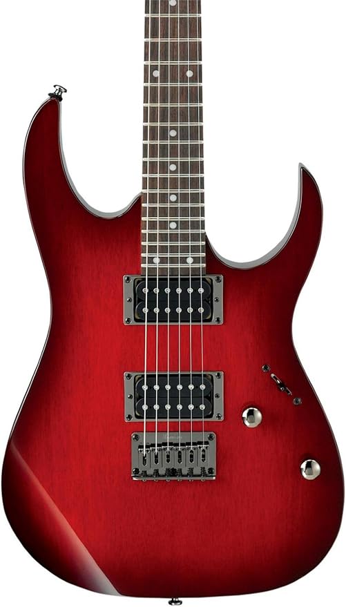 Ibanez RG421 Electric Guitar