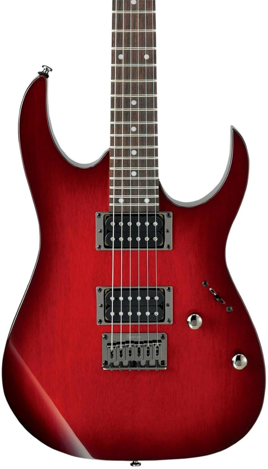 Amazon.com: Ibanez RG421 Electric Guitar Blackberry Sunburst: Musical  Instruments
