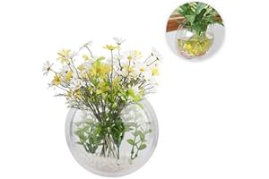 ACJRYO 2Pack Wall Hanging Fish Tank,Mounted Fish Bowl Betta Tank Fish Plant Tanks Hanging Fish Bowl Plant Vase Home Decoration Pot