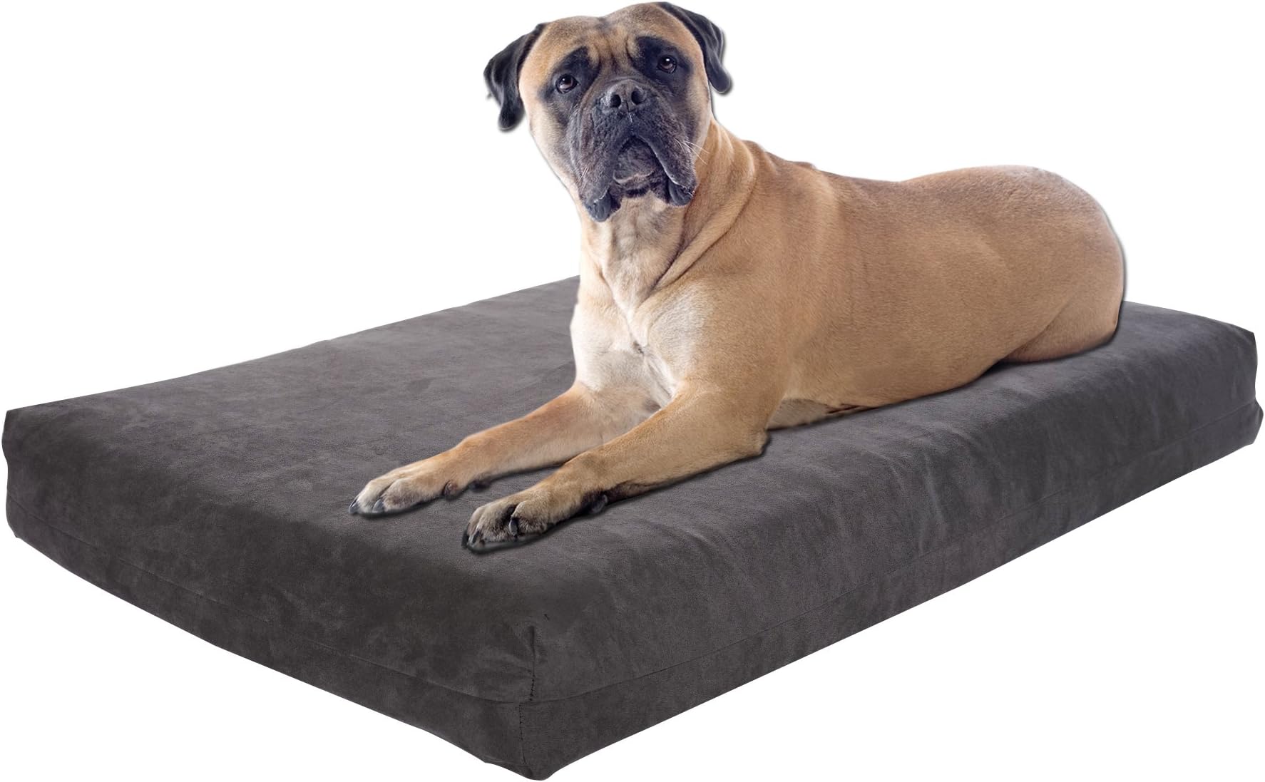 Pet Support Systems Orthopedic Gel Memory Foam Dog Beds - Eco Friendly, Hypoallergenic and Made in The USA, Supreme Luxury Comfort and Care for Dogs with Removable and Washable Cover