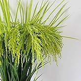 Mousidr Fake Grain Paddy Ear of Rice Plant Green Plants Artificial for Home Decoration Hall Shop Window Garden 12 Packs Stems (Green)