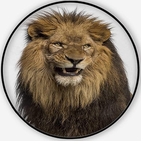 Amazon Com A Close Up Of A Ten Year Old Lion Colorful Round Mat