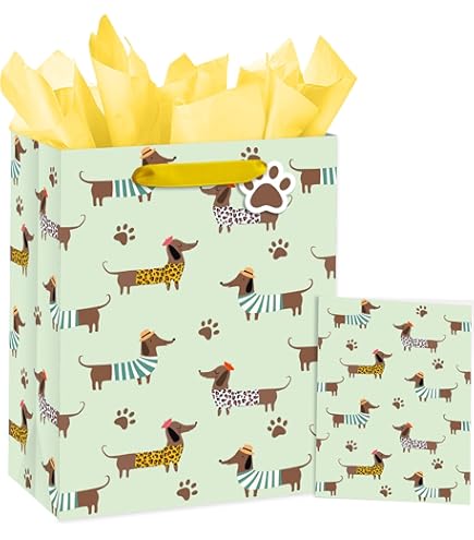 WRAPAHOLIC: Grande Borsa Regalo Di Compleanno Con Corgi – Riutilizzabile, 25x12x33 Cm, Manici Robusti