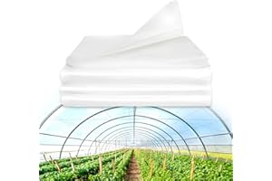 Valibe Greenhouse Plastic Sheeting 6 mil Greenhouse Plastic 10ftx20ft Heavy Duty Polyethylene Greenhouse Film Anti-Drip Anti-UV Greenhouse Cover for Garden