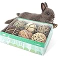 andwe Small Animals Play Balls Rolling Chew Toys & Gnawing Treats for Rabbits Guinea Pigs Chinchilla Bunny Degus - Pet Cage E