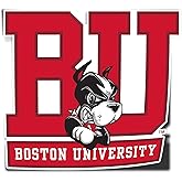 Desert Cactus Boston University Terriers BU Vinyl Decal Laptop Water Bottle Car Scrapbook Sticker (IND 1)