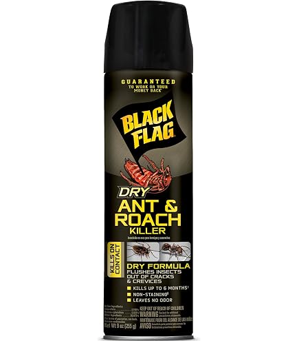 Amazon.com : Black Flag Ant & Roach Killer Aerosol, Lemon Scent