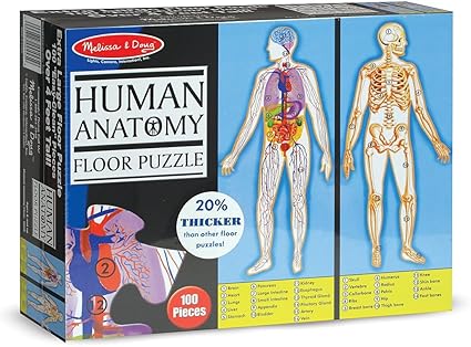 melissa and doug human anatomy puzzle