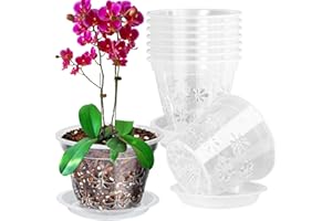 Blumiger Orchid Pot, 8 Pack 6 inch Orchid Pots with Holes & Saucers, Clear Plastic Pot for Repotting, Breathable Ventilation Planters for Phalaenopsis, Dendrobium & Oncidium Orchids