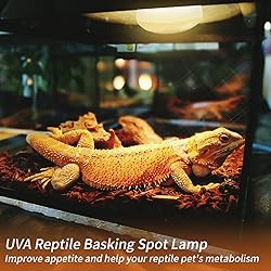 REPTI HOME New Upgrade Reptile Heat Lamp Bulb
