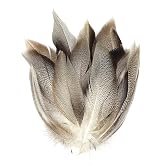 Quintathletic 100pcs Fly Tying Feather Materials - Spotted Duck Feathers for Fly Wings &amp; Tails, Fishing Tackle Accessories