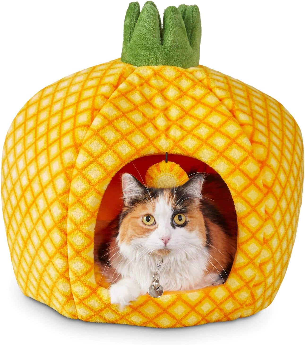 pineapple cat bed