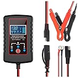 Trickle Charger for Car Battery 12V/6V,Smart
