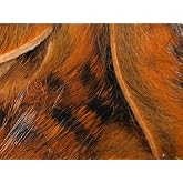 Hareline Fly Tying Barred Magnum Rabbit Strips &ndash; Wide Barred Rabbit Fur Strips for Streamers, Pike, Musky &amp; Saltwater Flies