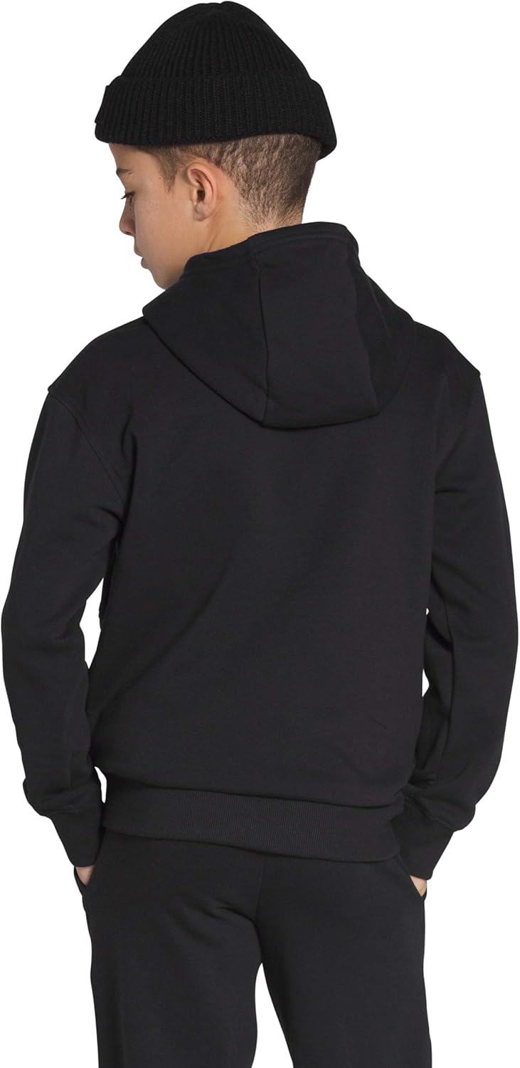 The North Face Boy's Essential Pullover Hoodie: Clothing