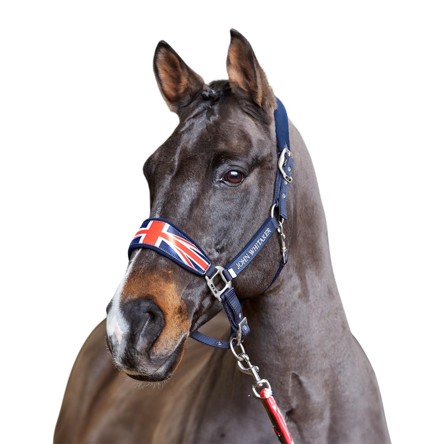 Whitaker Union Jack Headcollar