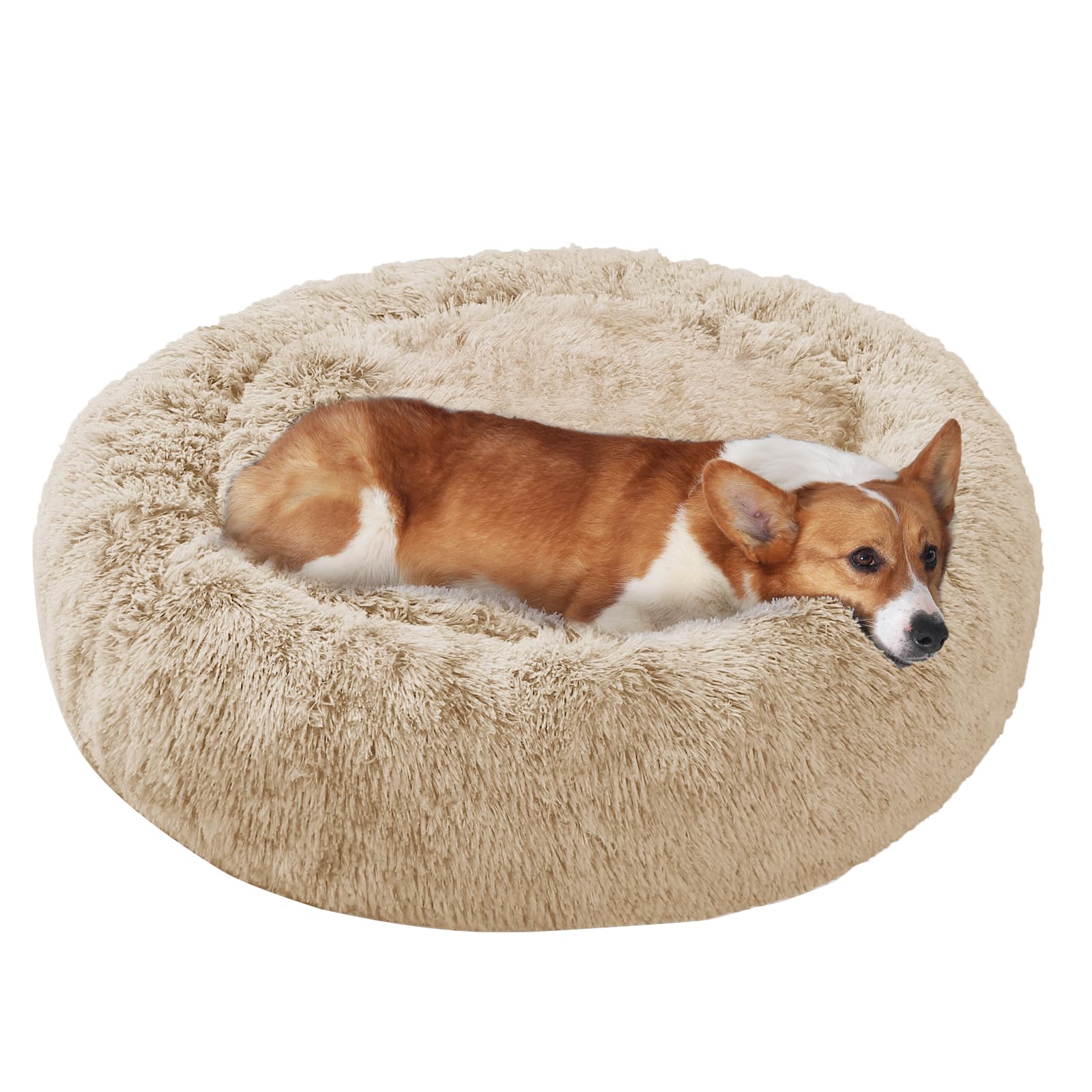 JOLLYVOGUE Dog Bed, Calming Anti-Anxiety Large Dog Bed, Fluffy Donut Cushion for Medium and Large Pets (27"/30"/36") Image