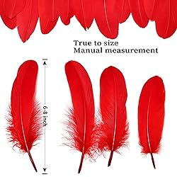 FeelfunFeather 120pcs Red Goose Feathers 6-8 Inch