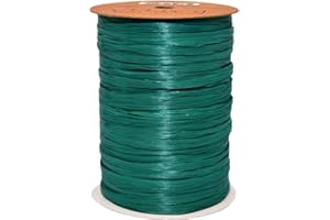 Morex Ribbon 100% Rayon Matte Raffia Biodegradable Ribbon, Teal, 1/4" x 100 Yd