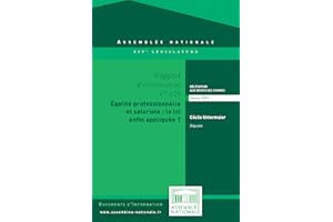 Rapport d'information sur l'application du dispositif relatif à la mise en oeuvre des obligations des entreprises pour l'égal