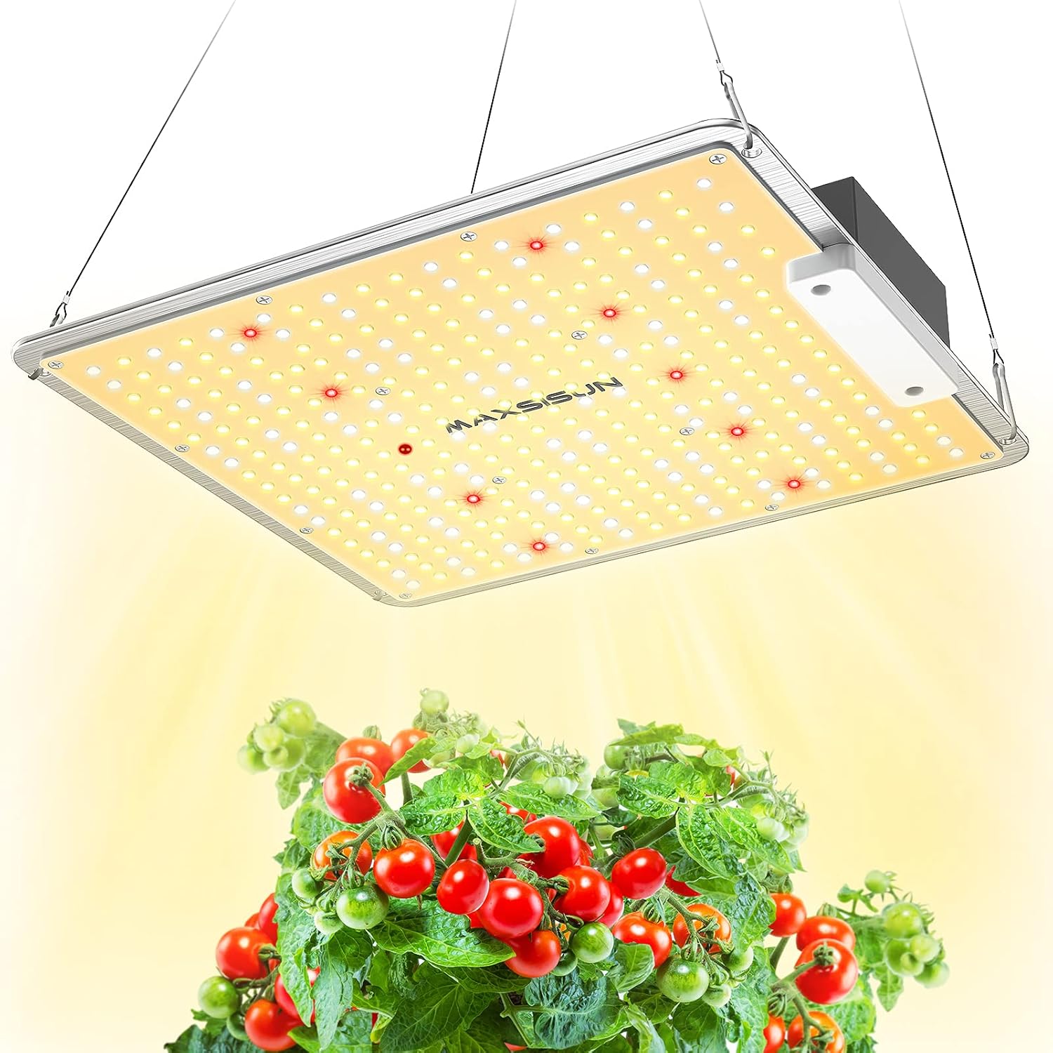 MAXSISUN PB1000 Pro Grow Light, 100W LED Grow Lights for Indoor Plants Full Spectrum with Samsung Diodes and Mean Well Driver Remote Control Dimmable Growing Lamps for a 2’x2’ Grow Tent Veg & Bloom : Garden & Outdoor