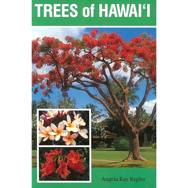 洋書 Native Hawaiian Plants Native Hawaiian Plants: How to Grow, Cultivate, and Enjoy 25