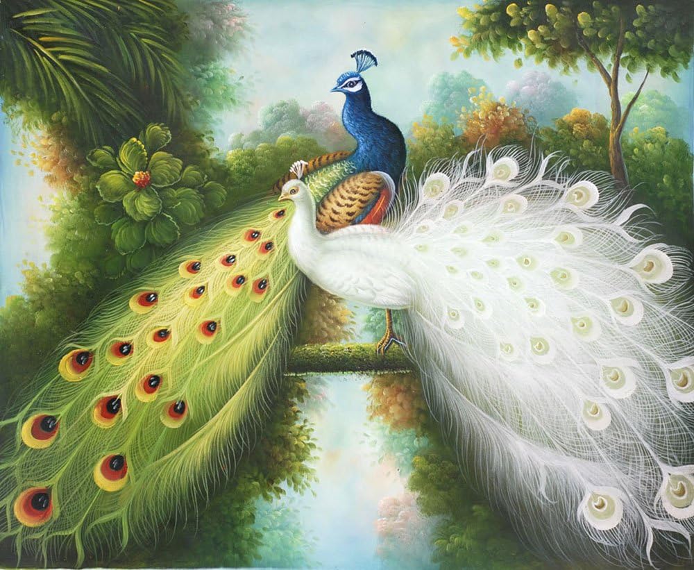 Amazon Com Hand Painted Oil Painting On Canvas White Peacock And Green Peacock Painting Paintings