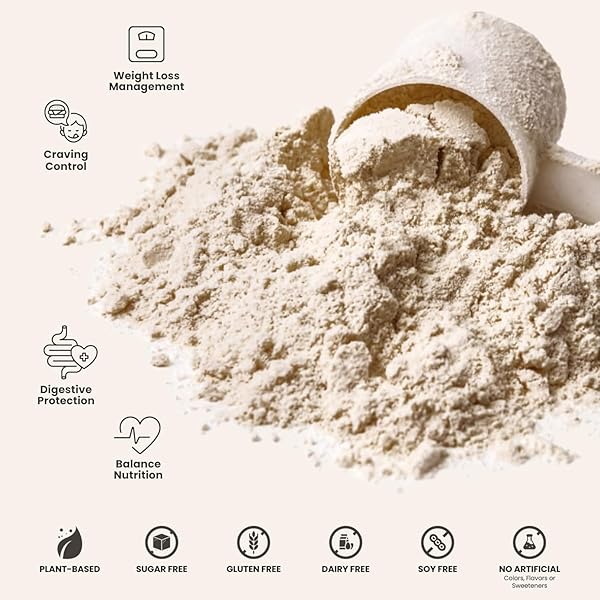 310 NUTRITION ALL-IN-ONE MEAL REPLACEMENT SHAKE-SUPERFOOD PROTEIN WITH FIBER, PROBIOTICS & ADAPTOGENS – LOW CARB, VEGAN, KETO & PALEO FRIENDLY –𝟭𝟰 𝗦𝗲𝗿𝘃𝗶𝗻𝗴𝘀 𝗖𝗵𝗼𝗰𝗼𝗹𝗮𝘁𝗲 𝗕𝗹𝗶𝘀𝘀