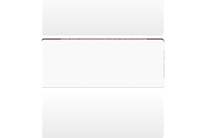 CAROUSELCHECKS 500 Blank Laser/Computer Checks Middle Style (Wallstreet)