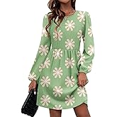 Zeagoo Women's Fall Sweater Dresses with Pockets Crew Neck Long Sleeve A-Line Dresses for Women 2025 Casual Winter Dresses
