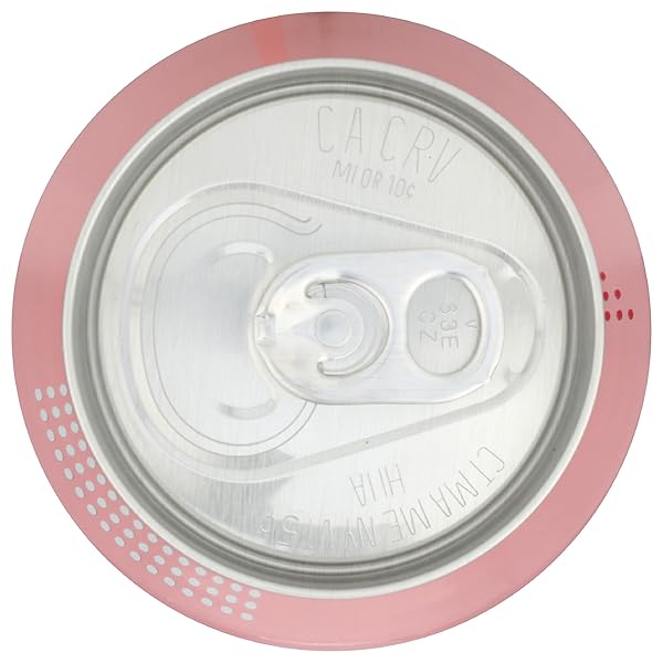 SANZO LYCHEE SPARKLING WATER, 12 FZ