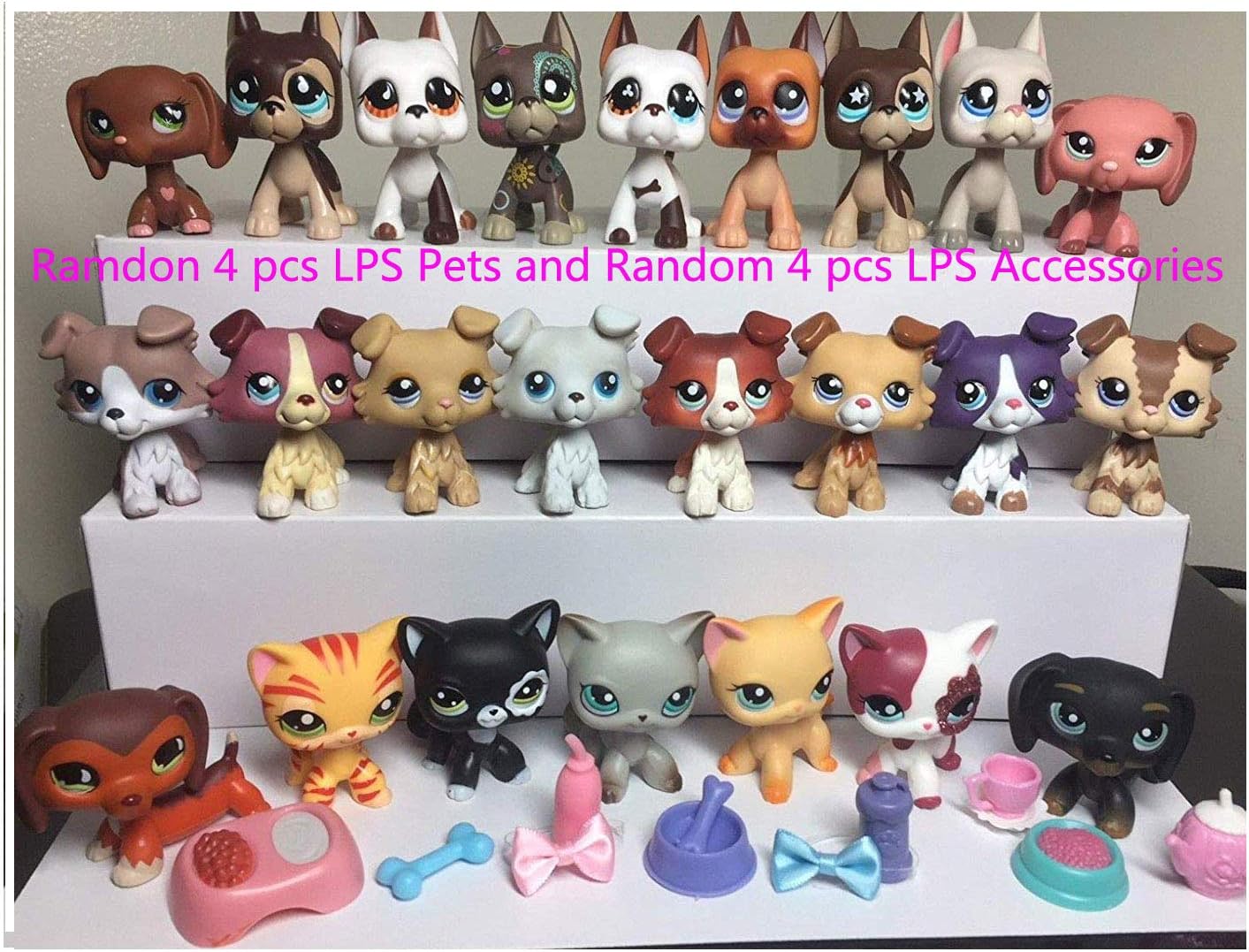 lps cats and dogs