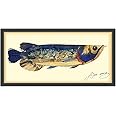 Empire Art Direct Arowana Dimensional Collage Handmade by Alex Zeng Framed Graphic Fish Animal Wall Art, 17" x 33"