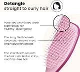 Tangle Teezer The Wet Detangler Hairbrush Raspberry Rouge view 2