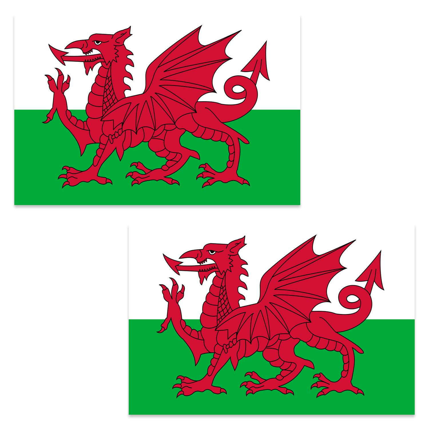 by Robelli International 5 x 3 ft Nylon Indoor or Outdoor Flags (Twin Pack) (Wales)